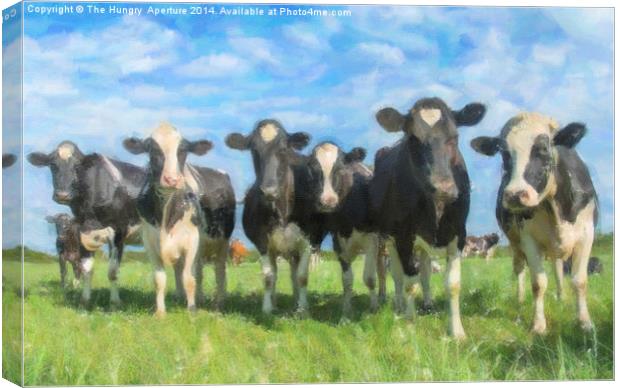  Cows Canvas Print by Stef B