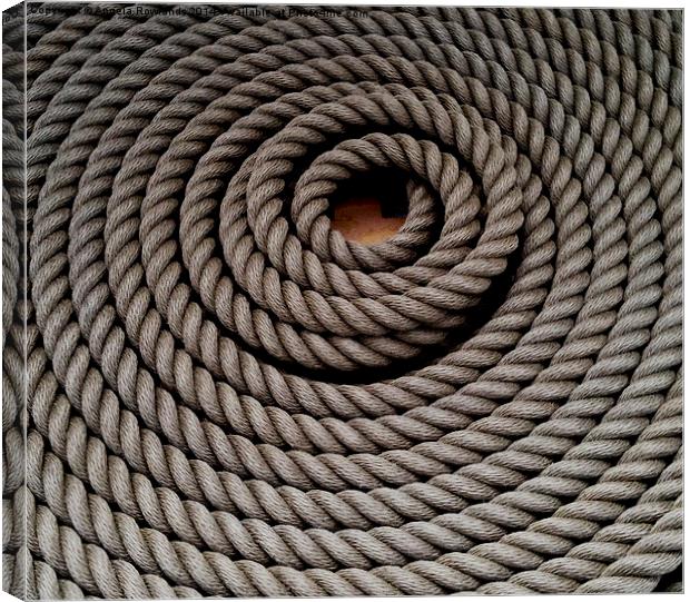 Coiled Rope Canvas Print by Angela Rowlands