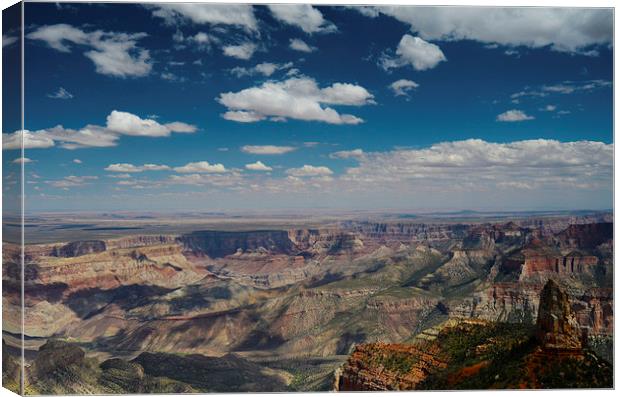  Point Imperial Grand Canyon Canvas Print by Angela Rowlands