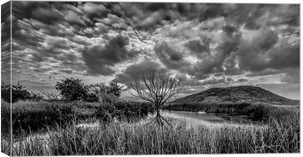 Moody Sky Canvas Print by jim wardle