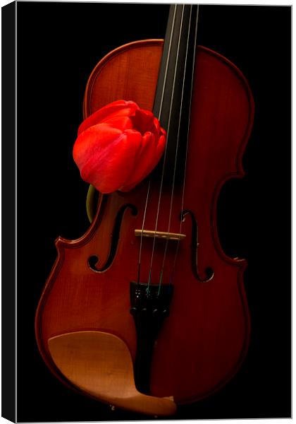 Music Lover Canvas Print by Edward Fielding