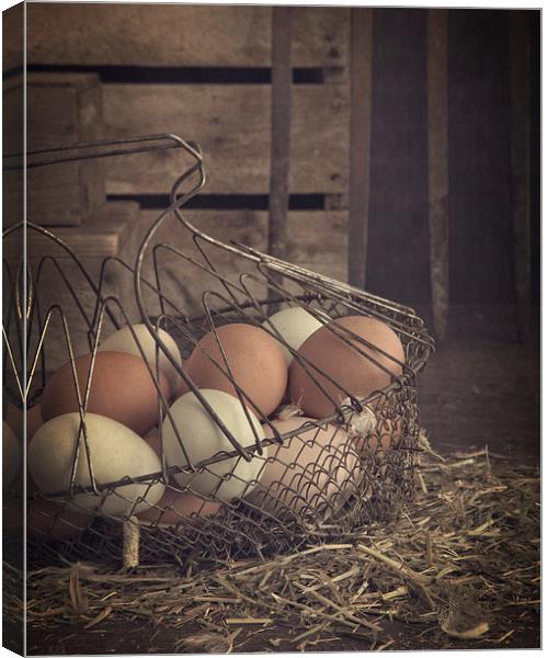 Eggs in vintage wire egg basket Canvas Print by Edward Fielding