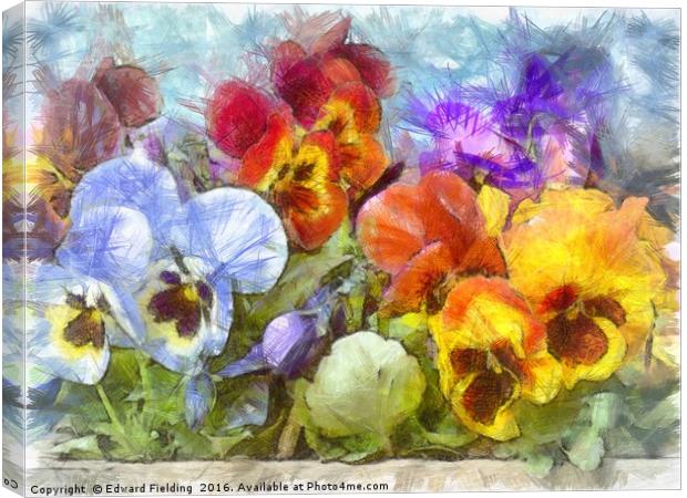 Flower Box Full of Pansy Pencil Canvas Print by Edward Fielding
