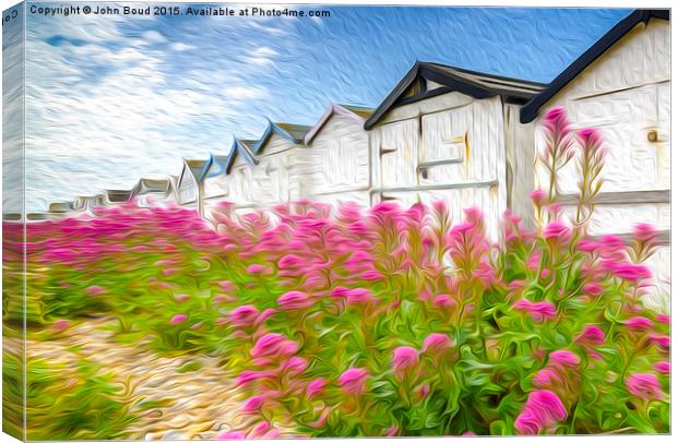  Beach huts and valerian Canvas Print by John Boud