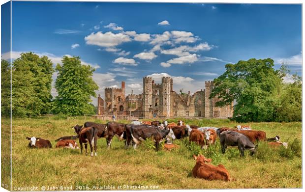 Ruins of Cowdray House Midhurst West Sussex Canvas Print by John Boud