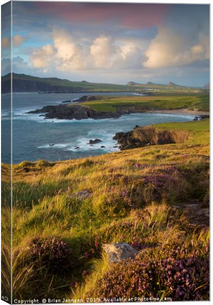 Dingle Peninsula Evening  Canvas Print by Brian Jannsen