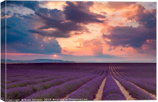 Lavender Field at Sunset II Canvas Print by Brian Jannsen