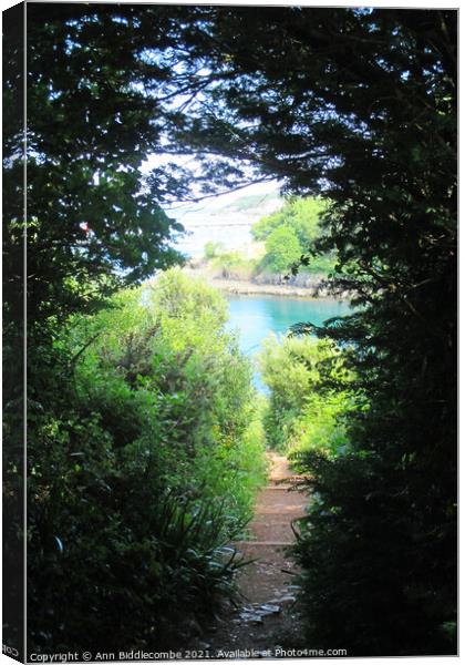 View from the steps at Fishcombe cove Canvas Print by Ann Biddlecombe