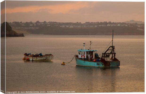Just a couple of fishing boats Canvas Print by Ann Biddlecombe