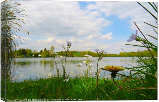 Wild flowers around the Cappy lake Canvas Print by Ann Biddlecombe