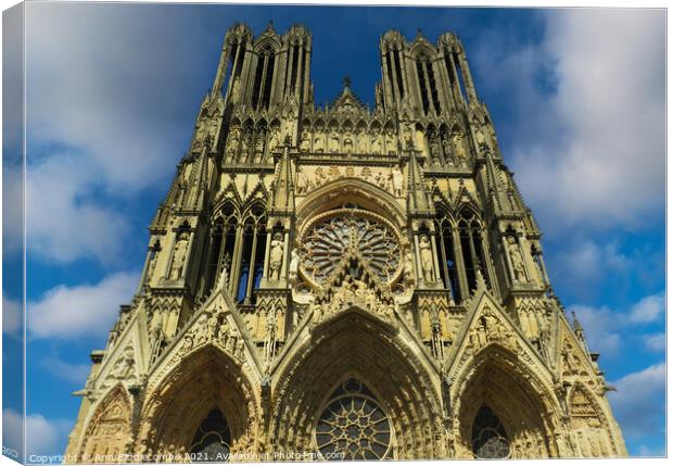 Notre-Dame Cathedral Reims Canvas Print by Ann Biddlecombe