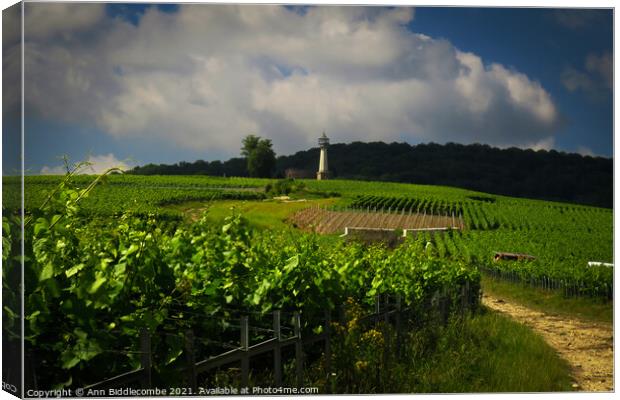 Lighthouse Verzenay surrounded by vineyards Canvas Print by Ann Biddlecombe