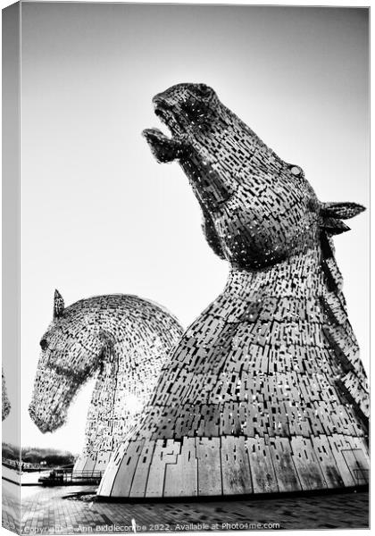 Black and white close up of The Kelpies  Canvas Print by Ann Biddlecombe