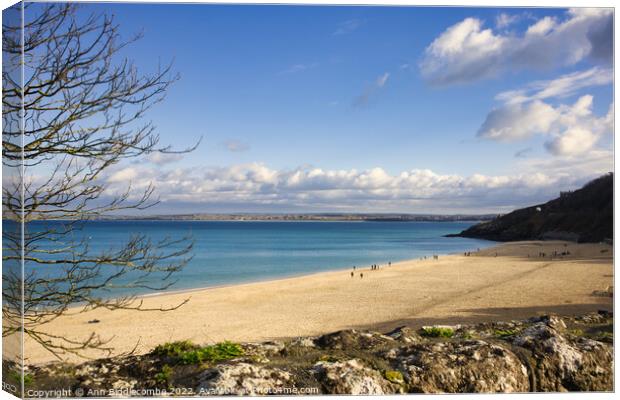 St Ives Beach in winter Canvas Print by Ann Biddlecombe