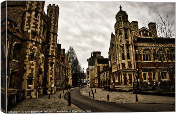 Cambridge town Canvas Print by Ann Biddlecombe