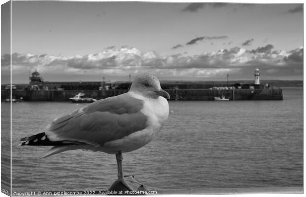 monochrome St Ives Seagull with lighthouse  Canvas Print by Ann Biddlecombe