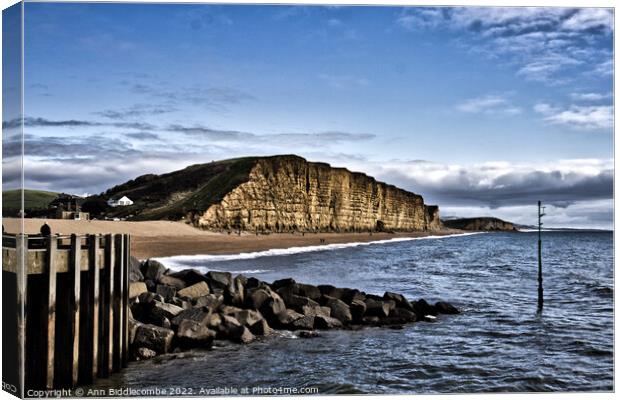 Dramatic West bay cliffs and Broadchurch Canvas Print by Ann Biddlecombe