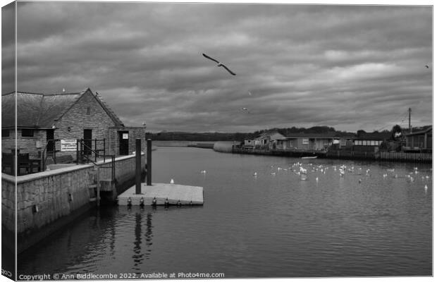 Monochrome Seagulls on the  River Brit Canvas Print by Ann Biddlecombe