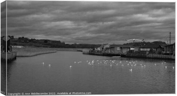 monochrome Seagulls on the River Brit Canvas Print by Ann Biddlecombe