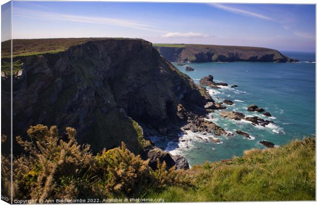 Hells Mouth Cornwall Canvas Print by Ann Biddlecombe