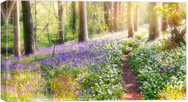 Magical mystical spring forest Canvas Print by Ann Biddlecombe