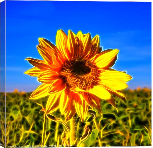 Lone Sunflower Canvas Print by Ann Biddlecombe