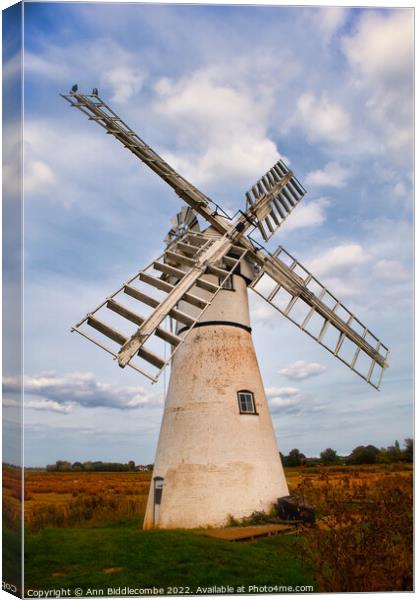 Windmill in the Norfolk Broards Canvas Print by Ann Biddlecombe