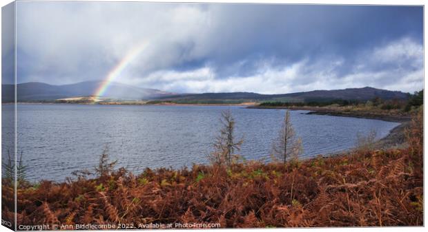 View with rainbow over clatteringshaws loch Canvas Print by Ann Biddlecombe