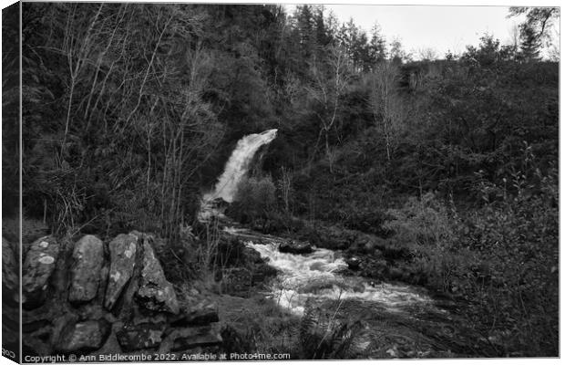 Grey mares tail waterfall in Galloway forest park Canvas Print by Ann Biddlecombe