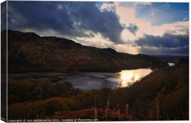 View from Bruces stone over the loch Canvas Print by Ann Biddlecombe