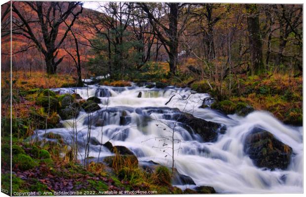 Fast flowing river in the woods Canvas Print by Ann Biddlecombe