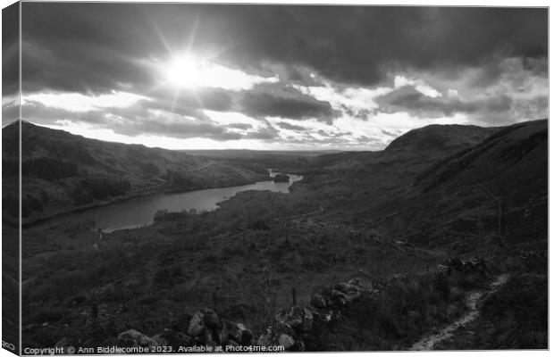 View over Loch Trool  Canvas Print by Ann Biddlecombe