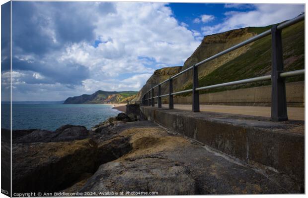 looking west at west bay Canvas Print by Ann Biddlecombe