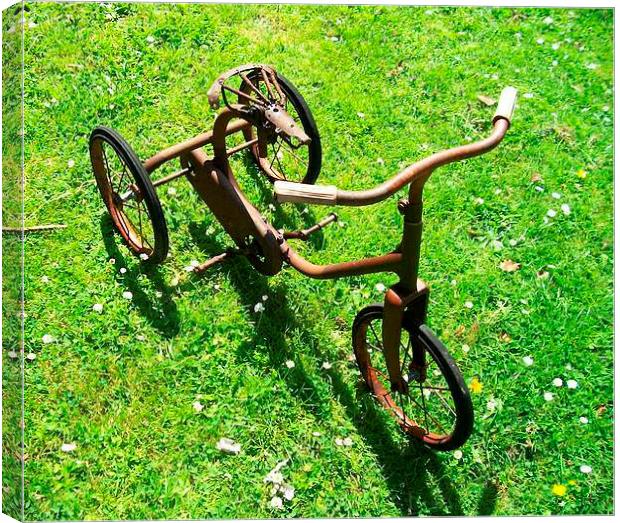 An old Trike Canvas Print by Ann Biddlecombe