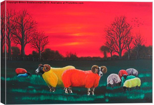  Rainbow Flock Canvas Print by Ann Biddlecombe