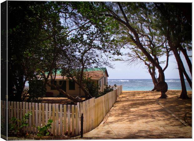 Cabin on the beach Canvas Print by Ann Biddlecombe