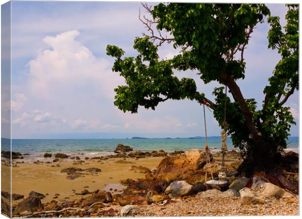 Lone Swing hanging on a tree on a Beach in Rayon S Canvas Print by Ann Biddlecombe