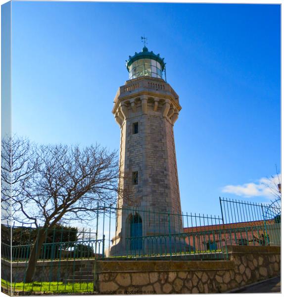 St Clair lighthouse Canvas Print by Ann Biddlecombe