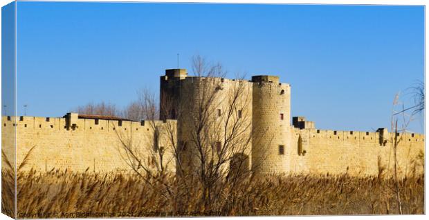 Fortress surrounds the medieval town of Aigues Mor Canvas Print by Ann Biddlecombe
