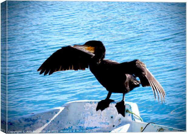Cormorant drying his wings with darkened edges Canvas Print by Ann Biddlecombe