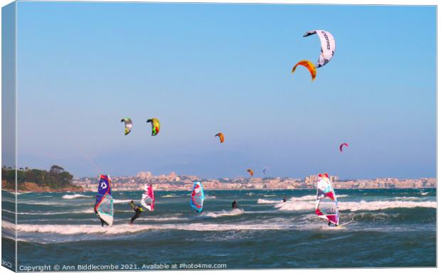 Windsurfers and Kite surfers on Palm Beach Canvas Print by Ann Biddlecombe