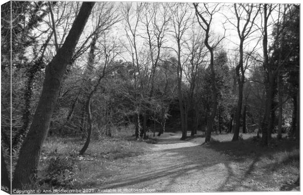 The path through the trees in monochrome Canvas Print by Ann Biddlecombe