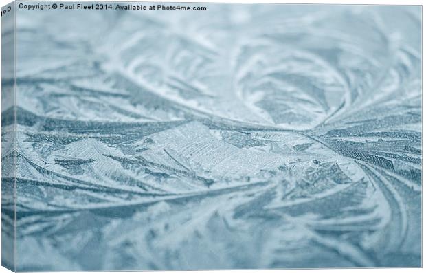 Ice crystal background Canvas Print by Paul Fleet