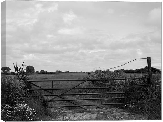 Gate to the Countryside Canvas Print by Liam Gibbins