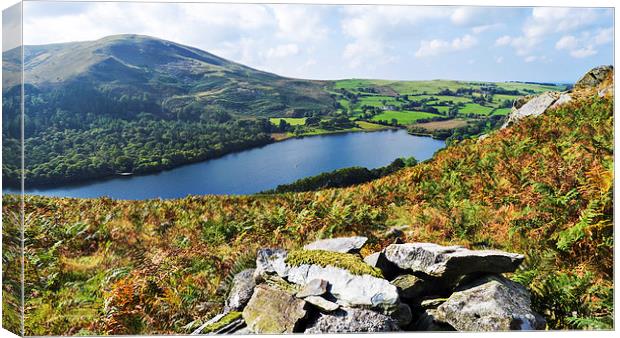 Loweswater from Darling Fell, Lake District, Cumbr Canvas Print by Steven Garratt