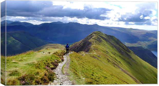 The Path To Whiteless Pike Above Buttermere, Lake  Canvas Print by Steven Garratt