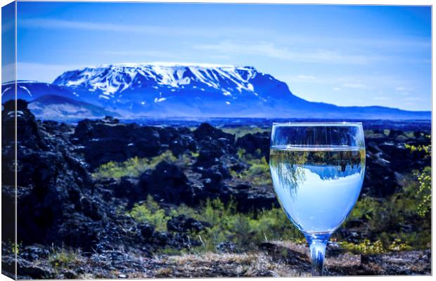 White Wine in Iceland Canvas Print by Peta Thames