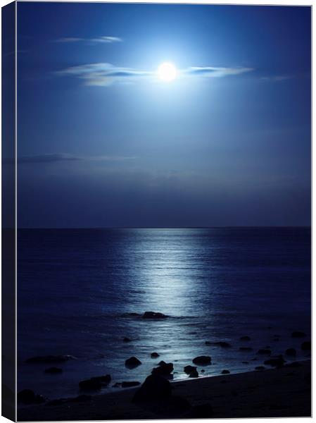 Blue Moon over Bramble Bay Canvas Print by Peta Thames