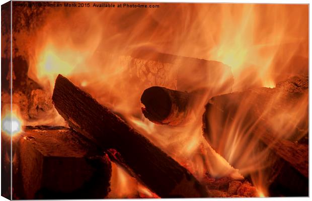 Log Fire Canvas Print by Duncan Monk