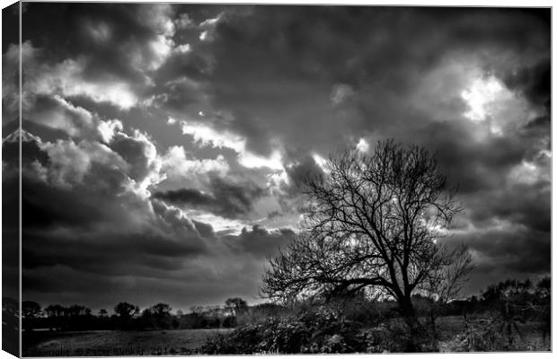 Storms Clouds Gather.  Canvas Print by Peter Bunker